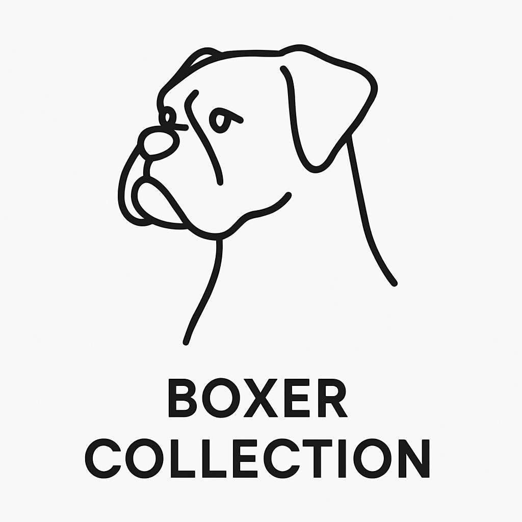 Boxer