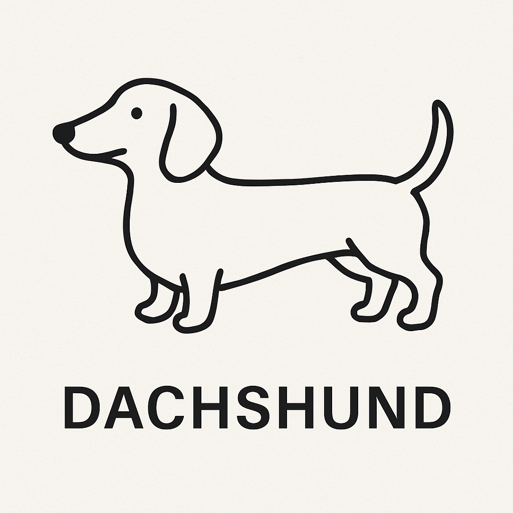 Dachshund