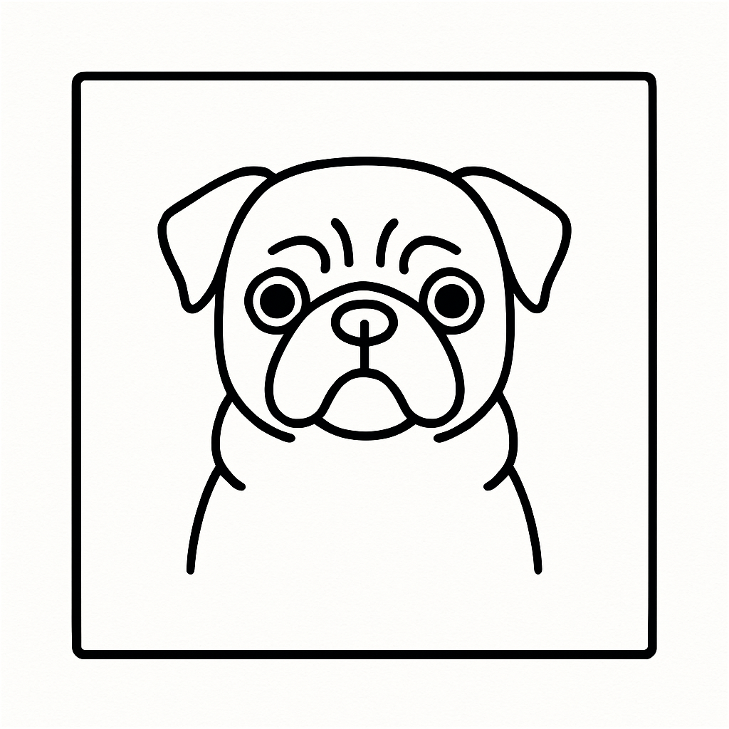 Pug